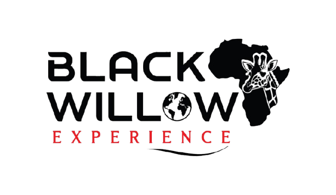 Black Willow Experience